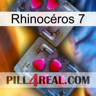 Rhinocéros 7 15